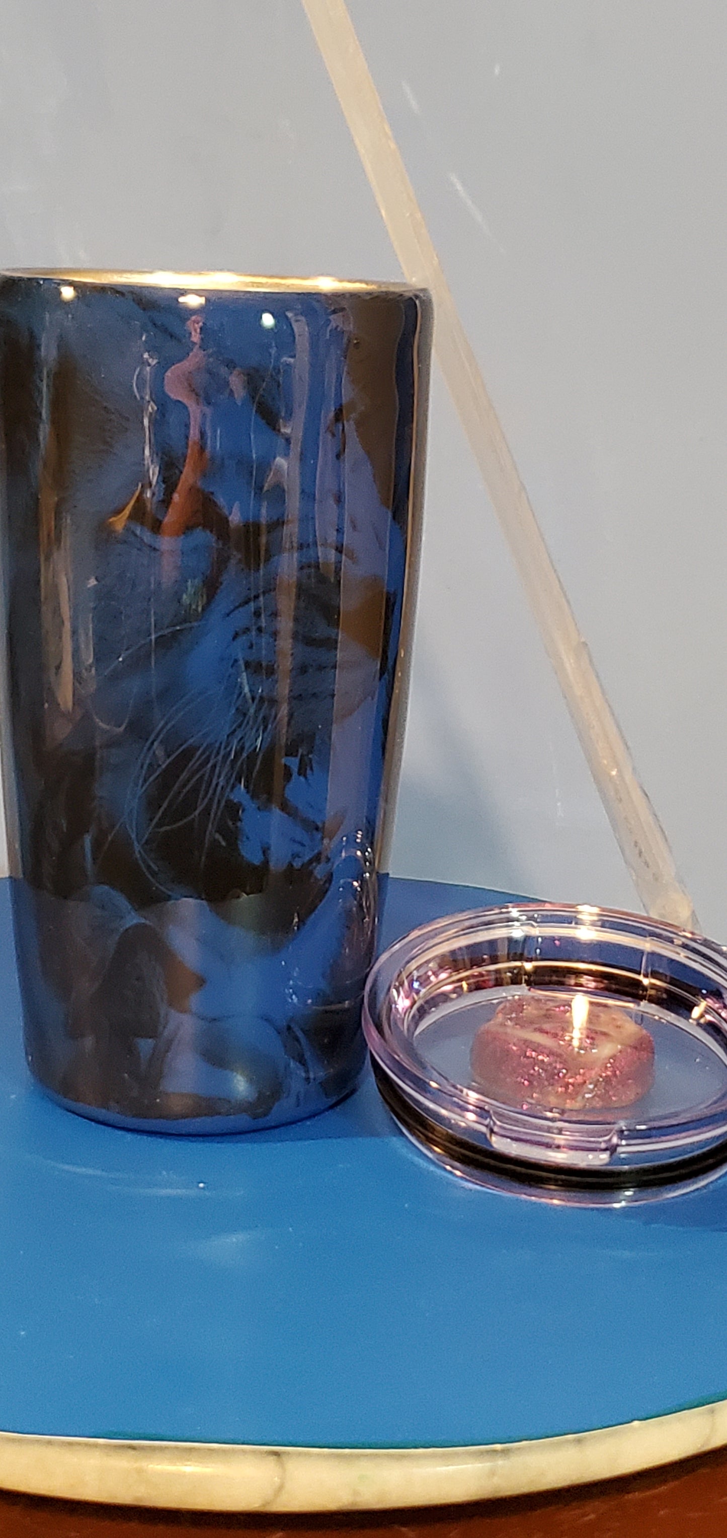 Protected lion hogg tumbler cup